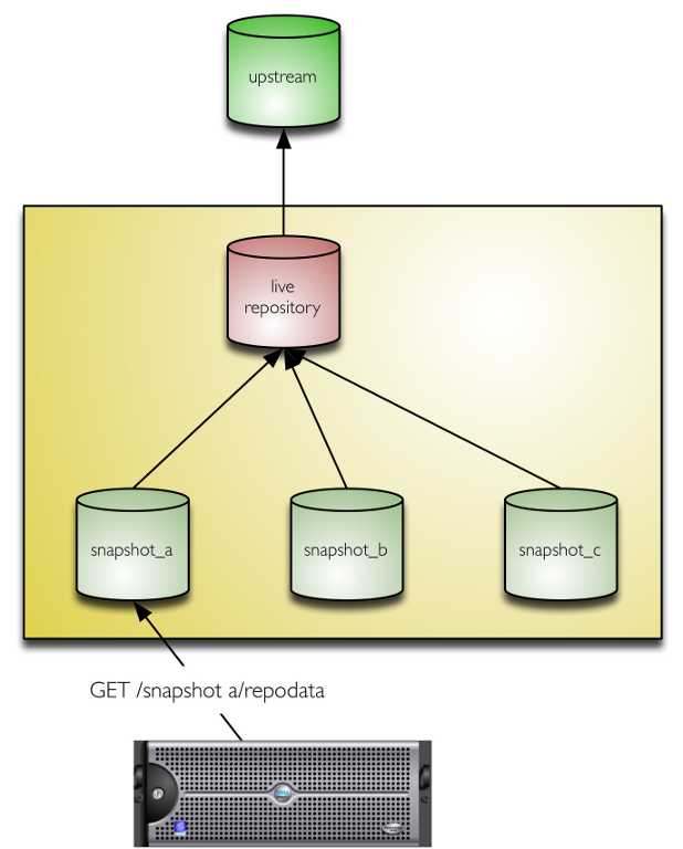 Repository mirroring and snapshotting